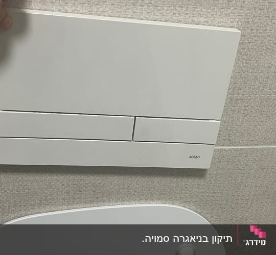 לחצן הדחה בשירותים עם יד אוחזת